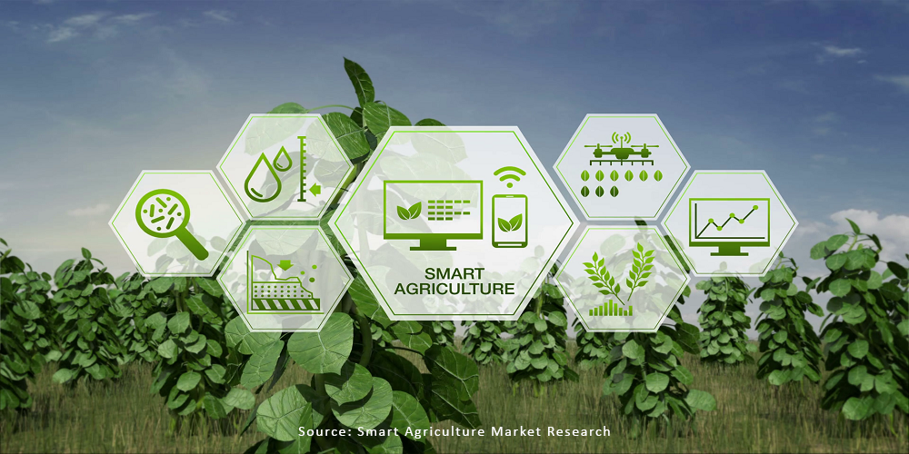 Nông nghiệp thông minh là gì? Mô hình và giải pháp 4.0