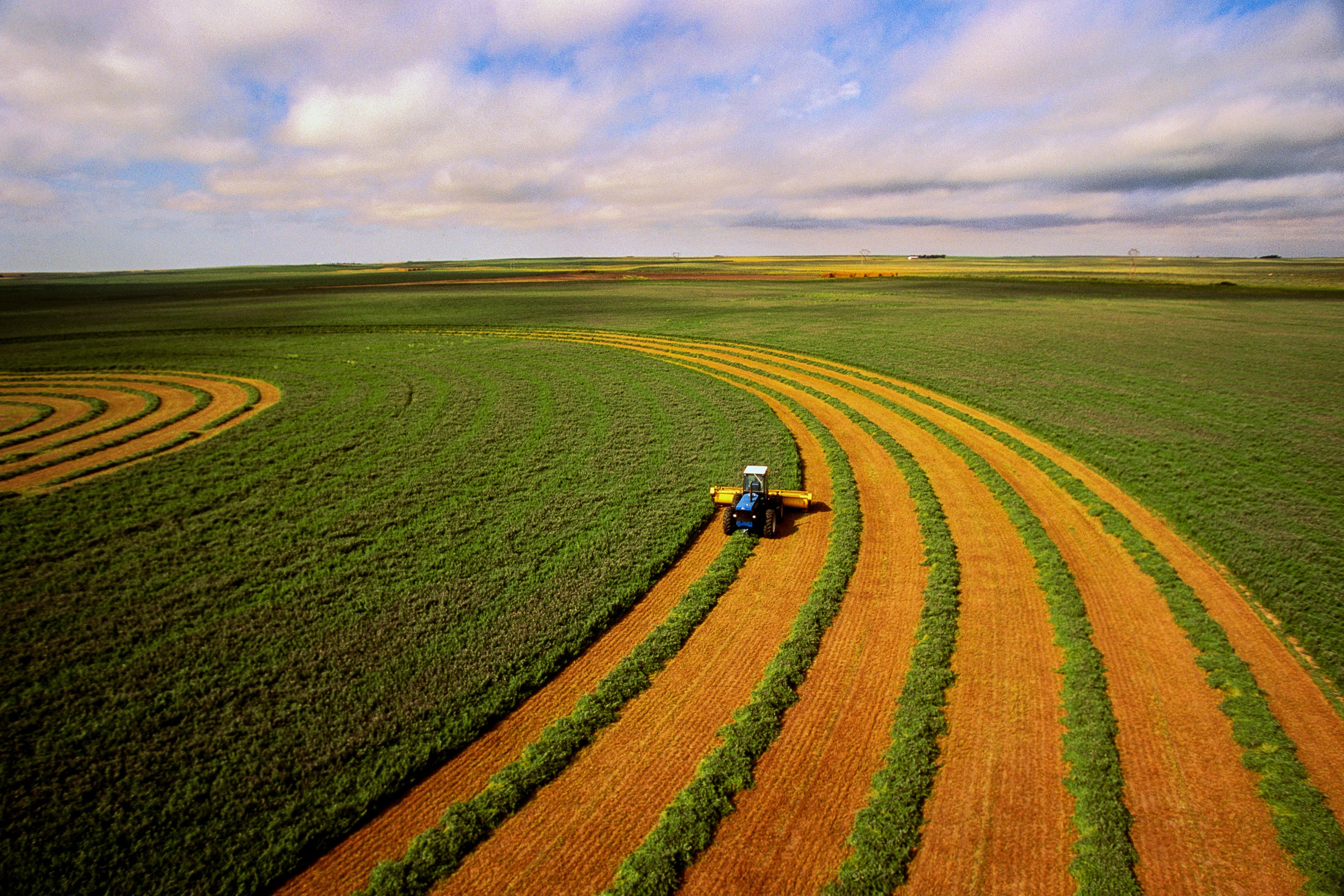 Ngành nông nghiệp: Chuẩn bị cho sự gián đoạn trong chuỗi giá trị lương thực